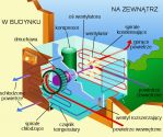 Zasada działania klimatyzatora. Fot.: Wikipedia