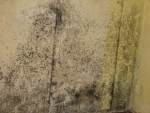  Techniczne i zdrowotne konsekwencje złej wentylacji budynków